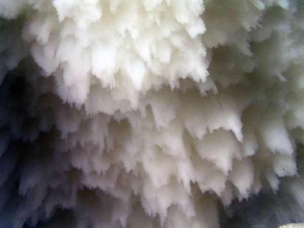 Tokujin-Yoshioka-milan-2