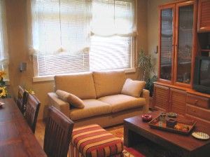 persianas en el salón